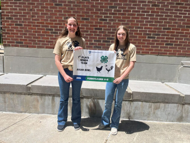 Youth show their skills in Pennsylvania 4-H Animal Bowl and Skillathon